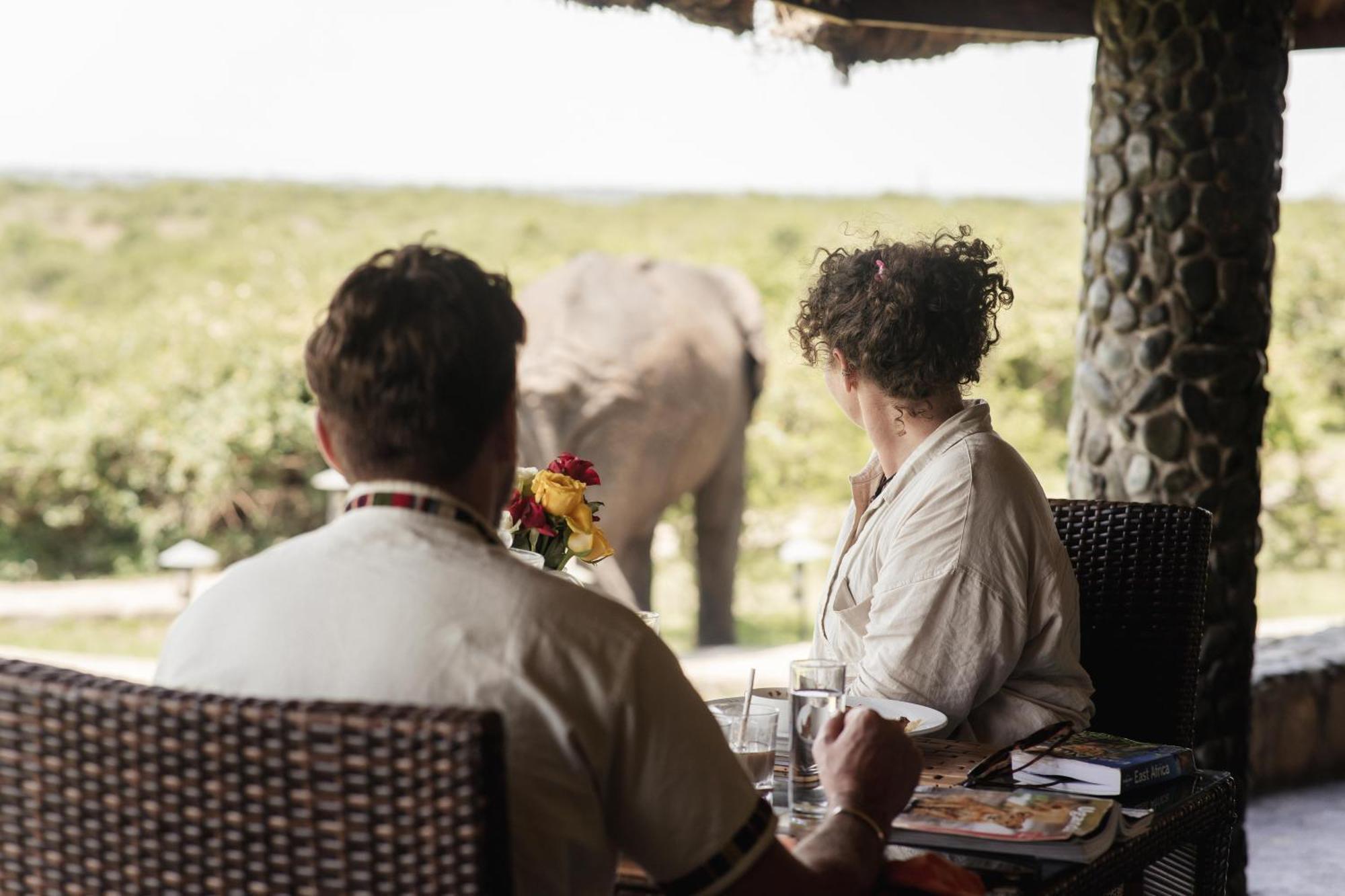 Buffalo Safari Lodge Katunguru Eksteriør bilde